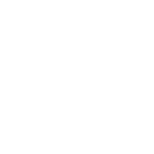 kundenlogo staudt