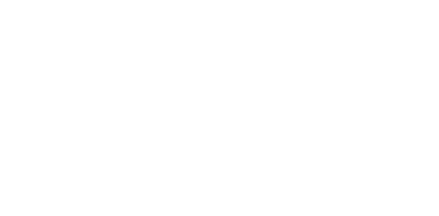 walser holzbau