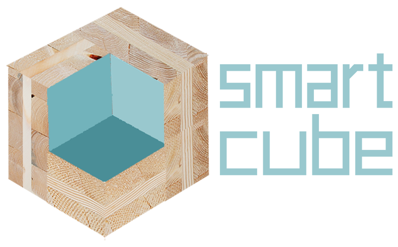 logo smart cube